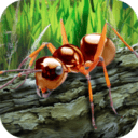 蚂蚁生存模拟器